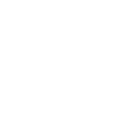 Lions International
